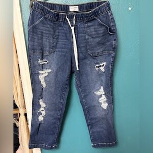 Lane Bryant Dark Blue Distressed Boyfriend Jeans Ankle Length Size 18